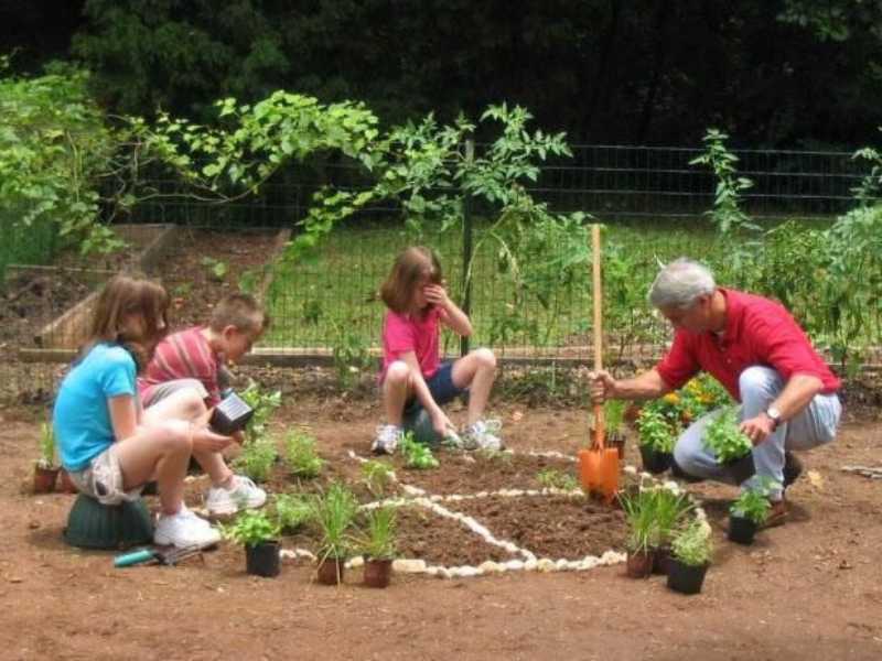 Pizza-Garden-(Grow-Your-Own-Toppings)