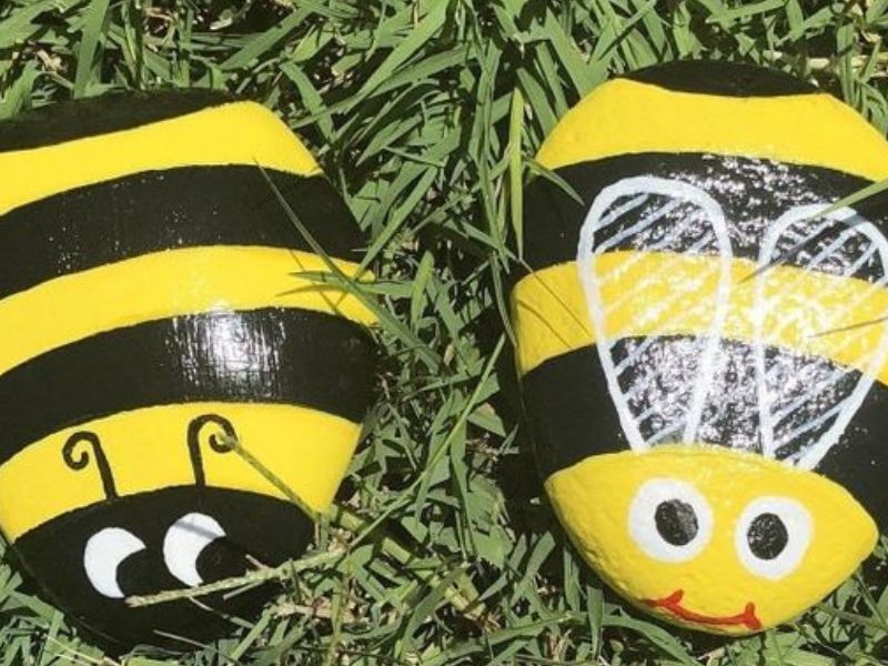 Bumble-Bee-Rocks