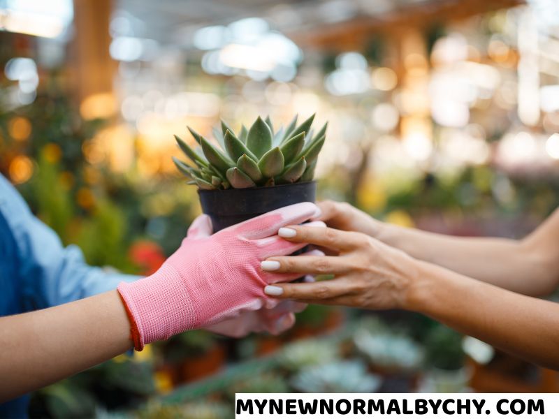 Customized-Plant-Pot-for-teachers
