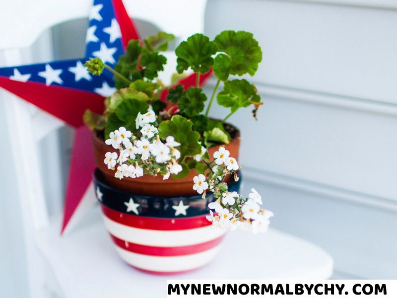 Easy-DIY-4th-of-July-Decor-That-Will-Transform-Your-Space