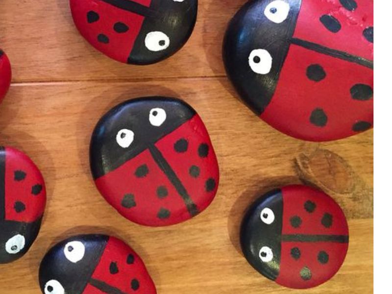 Ladybird-Rocks