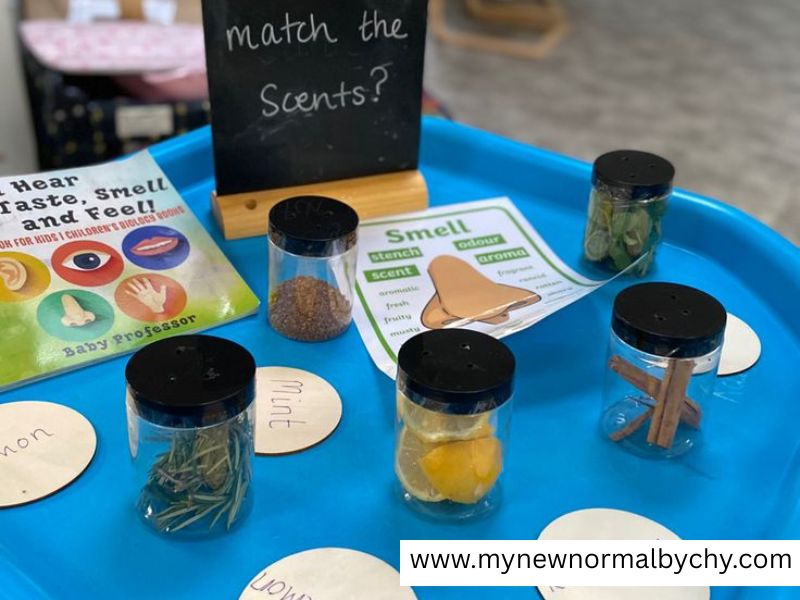 Scent-Discovery-Activity