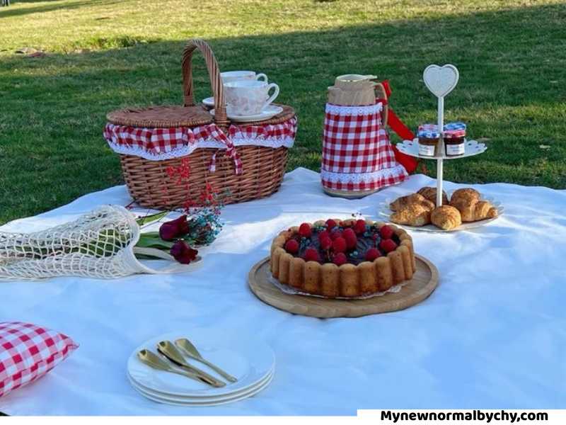 Soft-Red-White-and-Blue-Color-Palette-picnic