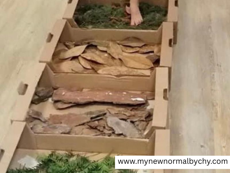 Nature-Sensory-Walk-The-Best-Sensory-Play-Ideas-for-Rainy-Days