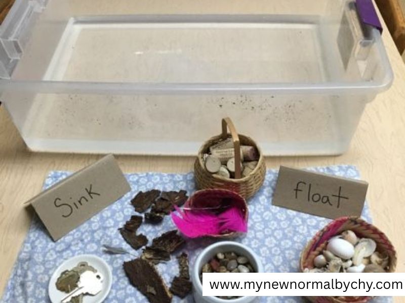 Sink-or-Float-Experiment-Fun-Screen-Free-Summer-Activities-for-Busy-Toddlers