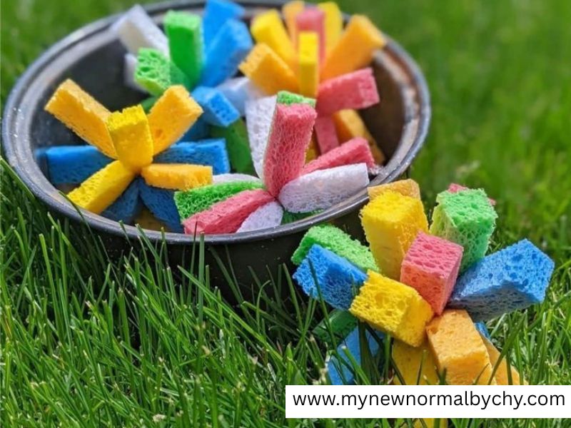 Sponge-Toss-Game