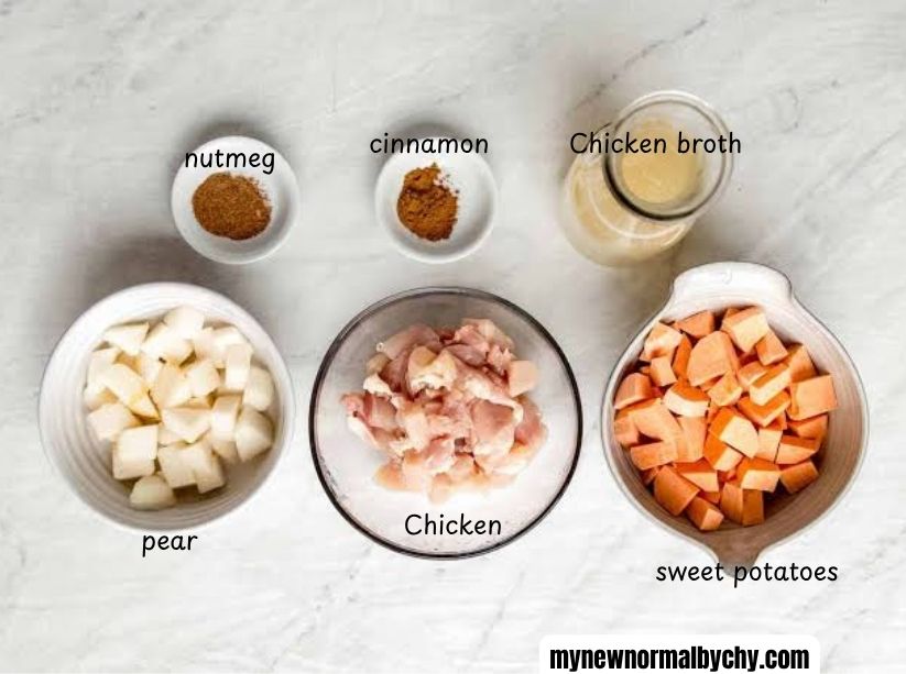 Best-First-Foods-for-Babies-Starting-Solids-pureed-chicken