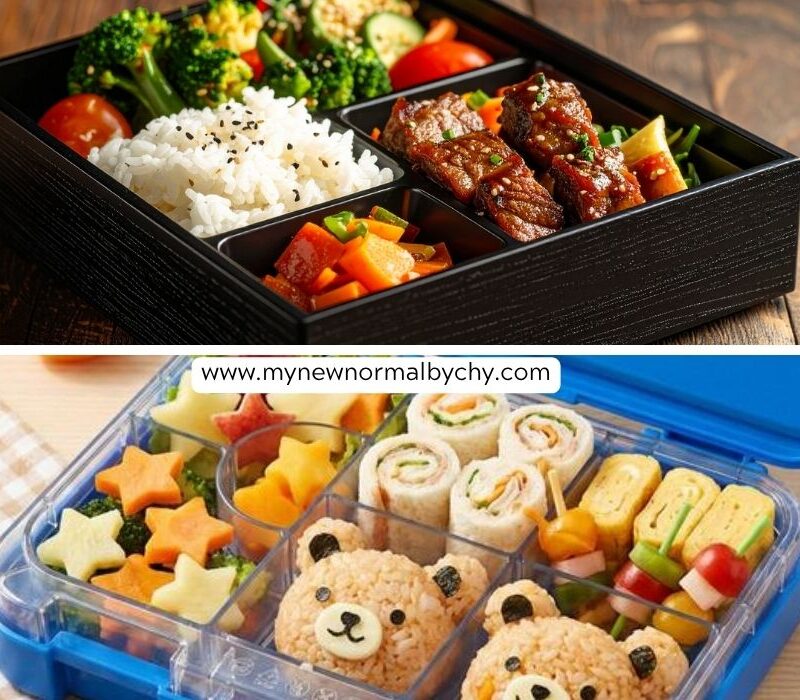 Bento-box-meals