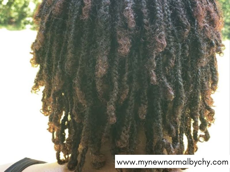Braided-Starter-Locs