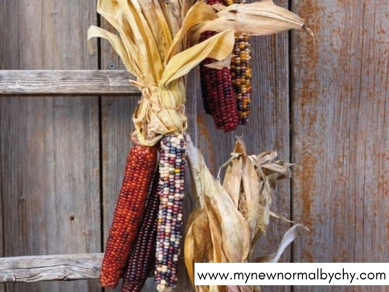 DIY-Halloween-Porch-Decorations-to-Make-Your-Home