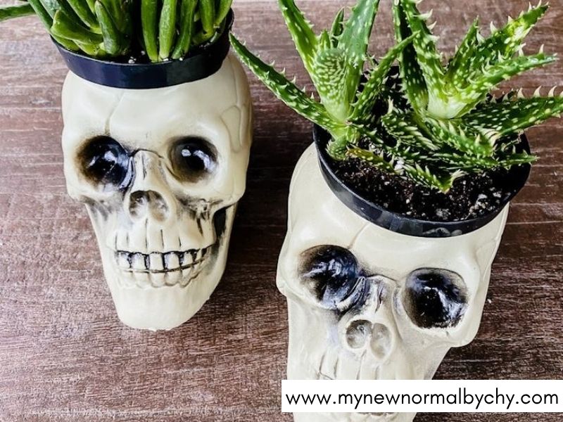 DIY-Halloween-Porch-Decorations-to-Make-Your-Home