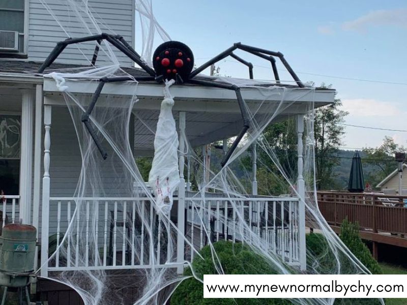 Giant-Front-Porch-Spider