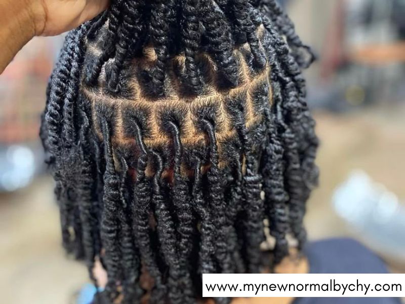 Two-Strand-Twist-Starter-Locs