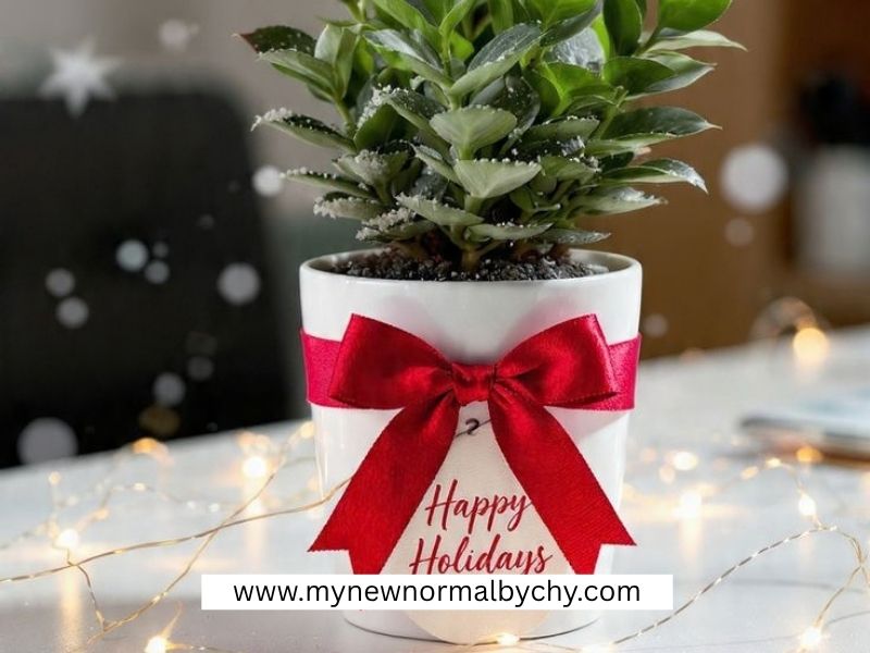 Christmas-Gift-Ideas-for-Coworkers